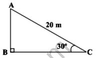 ""NCERT-Solutions-Class-10-Mathematics-Chapter-9-Some-Application-of-Trigonometry-2