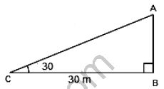 ""NCERT-Solutions-Class-10-Mathematics-Chapter-9-Some-Application-of-Trigonometry-5