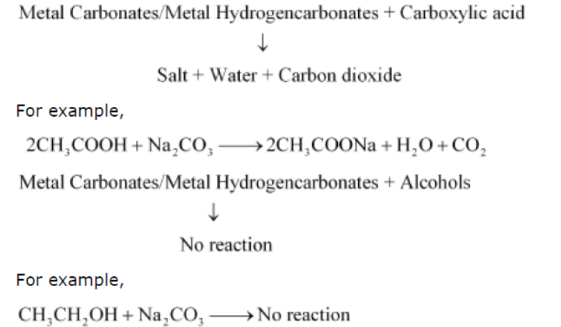 NCERT-Solutions-Class-10-Science-Chapter-15-Our-Environment-12.png