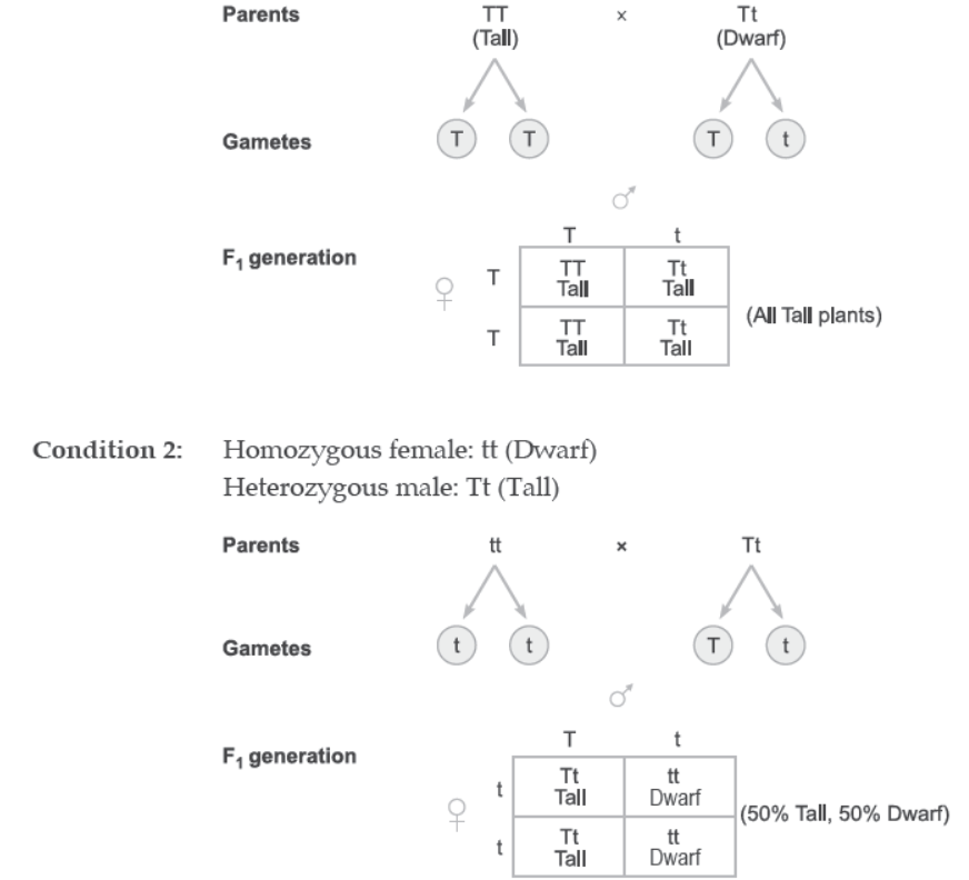 NCERT-Solutions-Class-12-Biology-Chapter-5-Principles-of-Inheritance-and-Variation-3.png