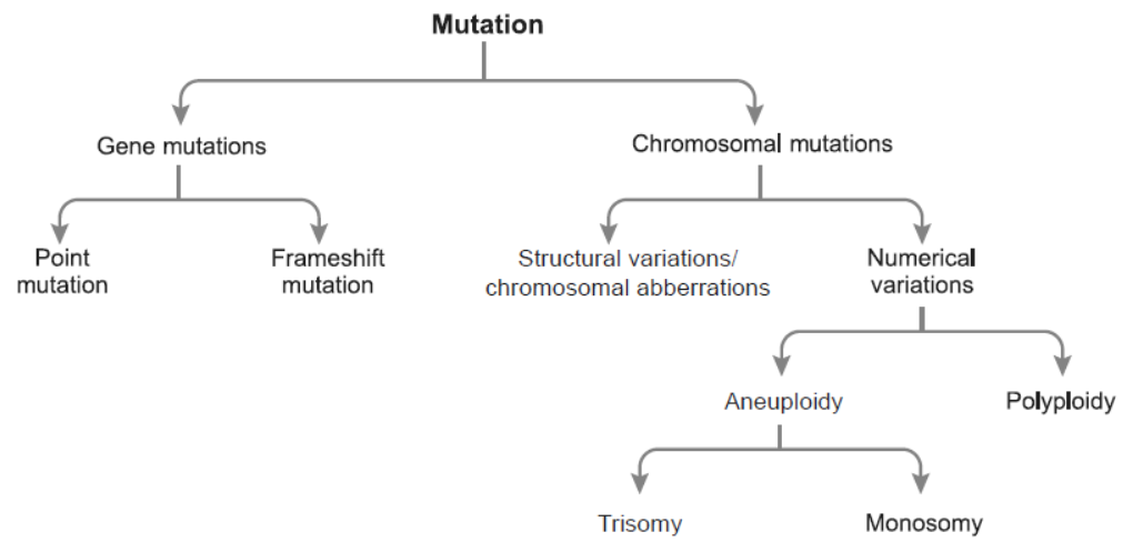 NCERT-Solutions-Class-12-Biology-Chapter-5-Principles-of-Inheritance-and-Variation-9.png