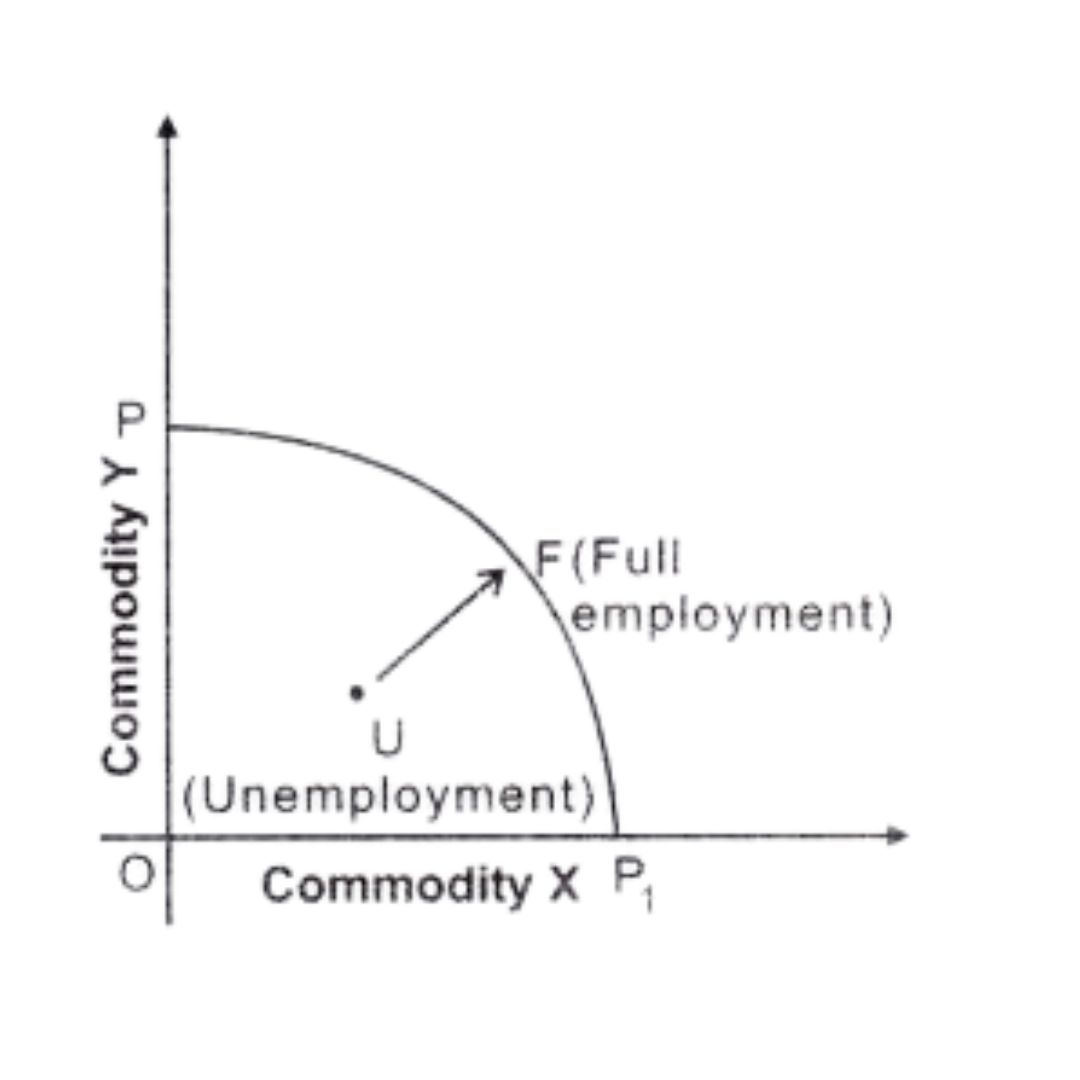 ""NCERT-Solutions-Class-12-Economics-Chapter-1-Introduction-to-Economics-10