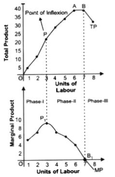 ""NCERT-Solutions-Class-12-Economics-Chapter-3-Production-2