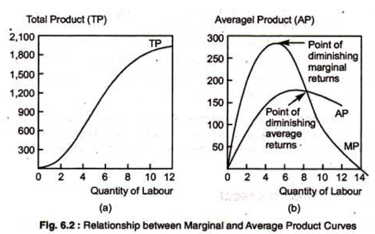 NCERT-Solutions-Class-12-Economics-Chapter-3-Production.1.png