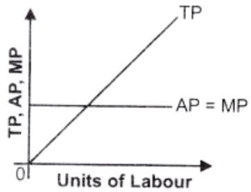 ""NCERT-Solutions-Class-12-Economics-Chapter-3-Production