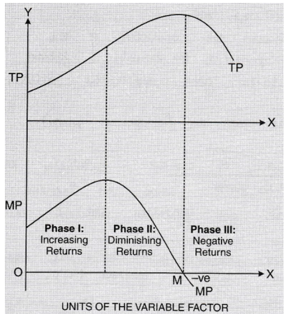 NCERT-Solutions-Class-12-Economics-Chapter-3-Production.png