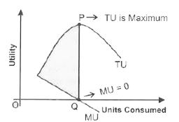 ""NCERT-Solutions-Class-12-Economics-Chapter-5-Consumer-Equilibrium