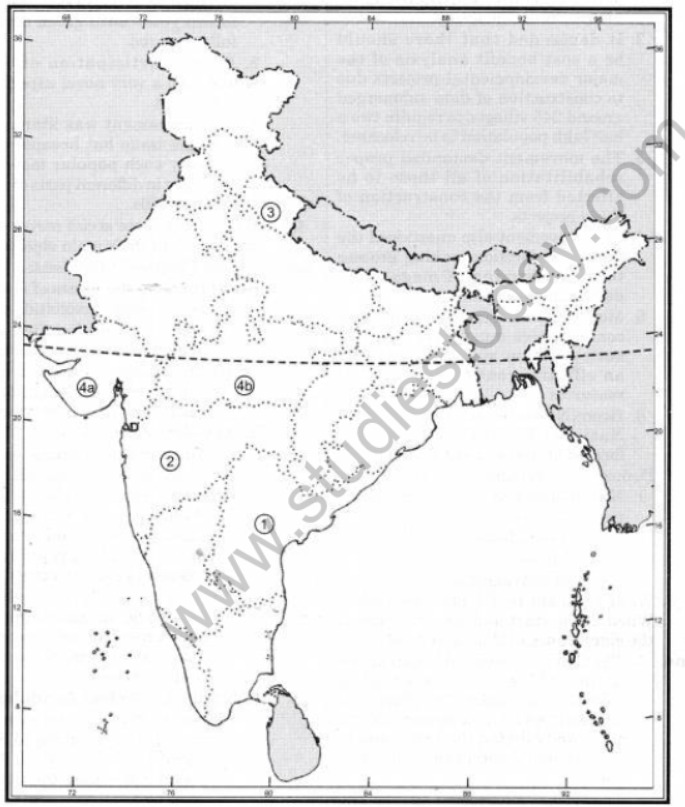 NCERT-Solutions-Class-12-Political-Science-Rise-of-Popular-Movements