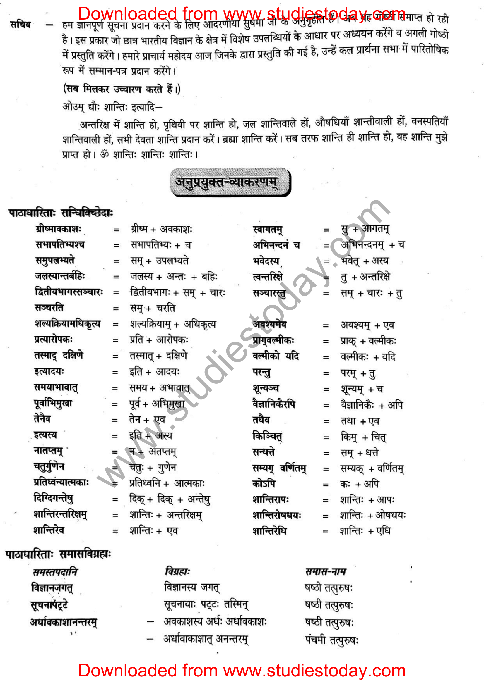 ncert-solutions-class-12-sanskrit-ritikia-chapter-8-06