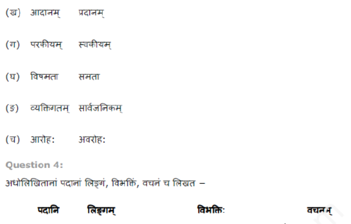 ncert-solutions-class-8-sanskrit-chapter-11-savitri-bhai-phule