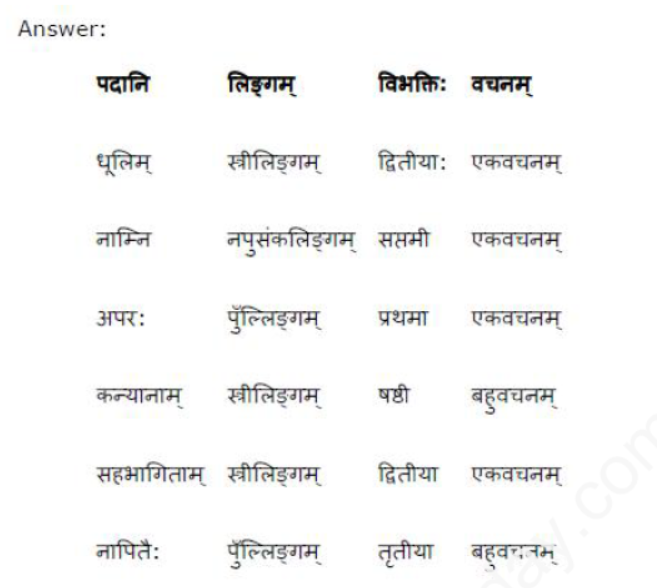 ncert-solutions-class-8-sanskrit-chapter-11-savitri-bhai-phule