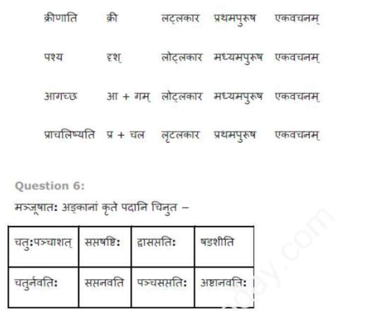 ncert-solutions-class-8-sanskrit-chapter-12-ka-rakshit-ka-rakshit