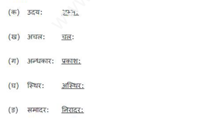 ncert-solutions-class-8-sanskrit-chapter-14-aryabhat