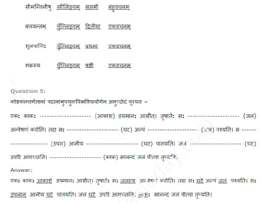 ncert-solutions-class-8-sanskrit-chapter-15-paehlrik