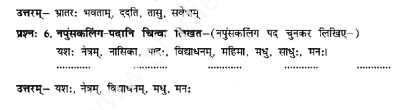 ncert-solutions-class-8-sanskrit-chapter-2-padvichar