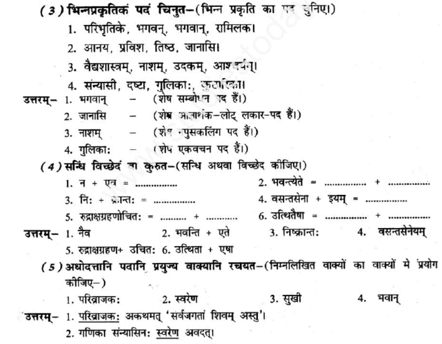 ncert-solutions-class-8-sanskrit-chapter-3-bhgvadjukrm