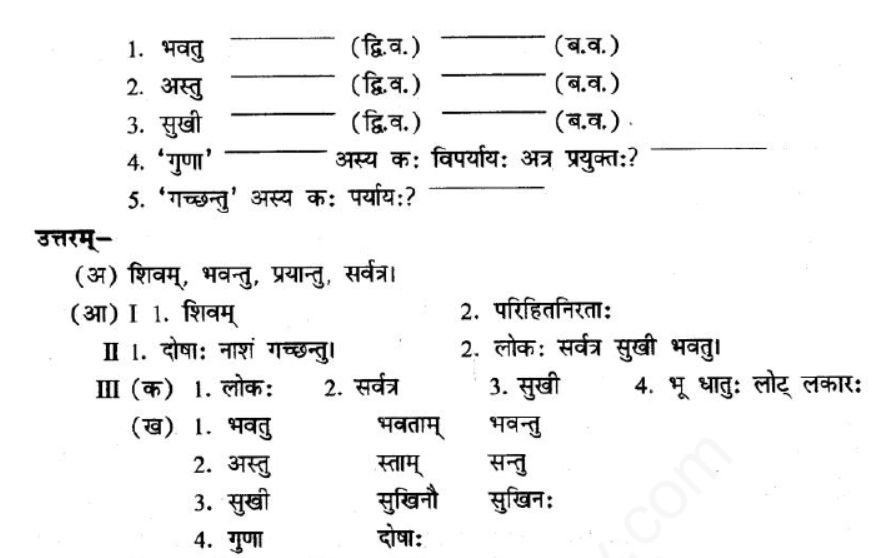 ncert-solutions-class-8-sanskrit-chapter-3-bhgvadjukrm