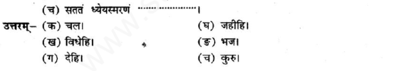 ncert-solutions-class-8-sanskrit-chapter-4-sadev-purto-nidehi-charnam