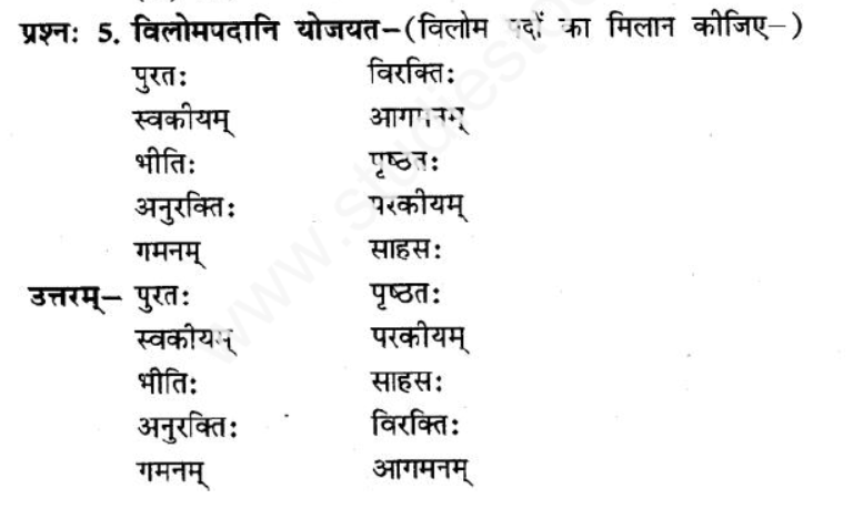 ncert-solutions-class-8-sanskrit-chapter-4-sadev-purto-nidehi-charnam