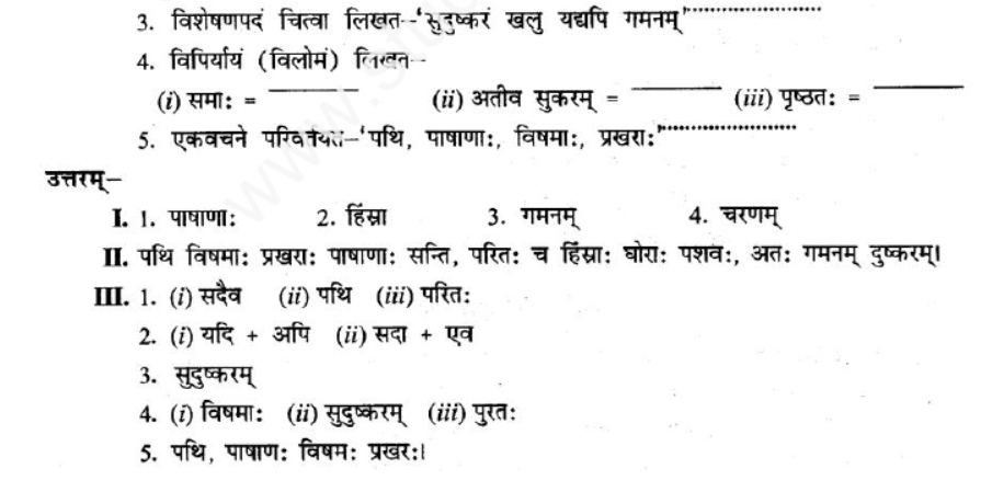 ncert-solutions-class-8-sanskrit-chapter-4-sadev-purto-nidehi-charnam