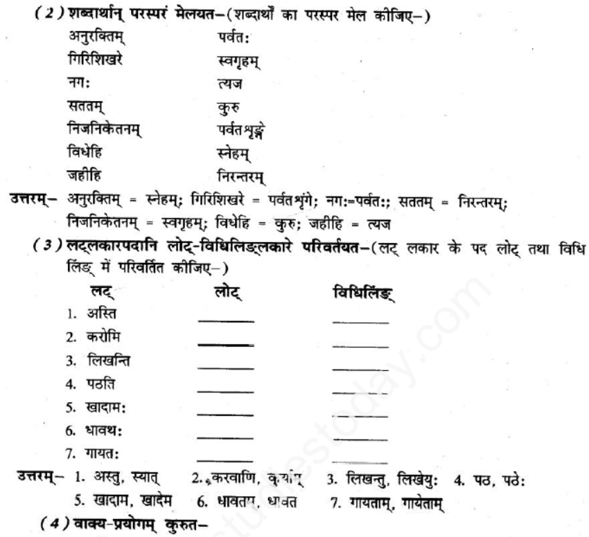 ncert-solutions-class-8-sanskrit-chapter-4-sadev-purto-nidehi-charnam