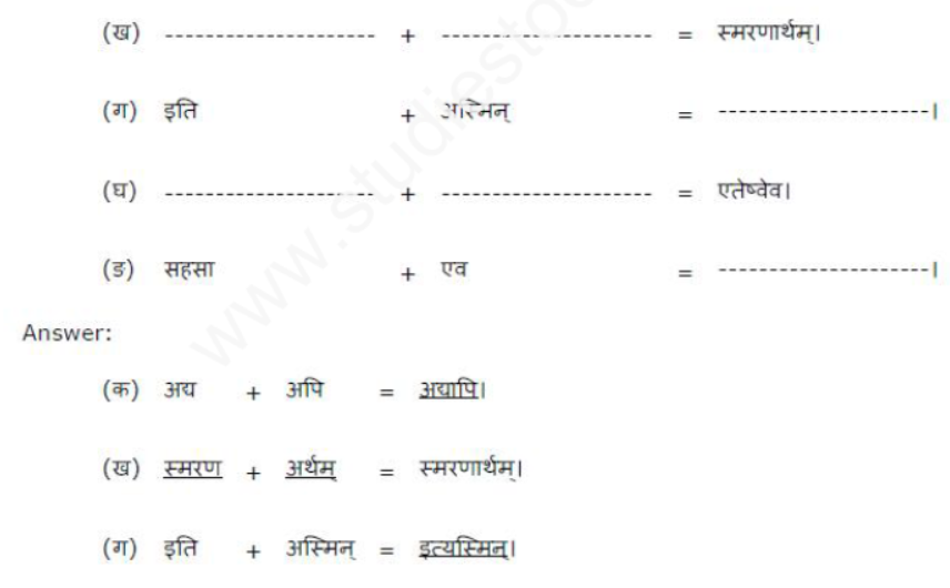 ncert-solutions-class-8-sanskrit-chapter-8-sansarsagarrsay-nayka