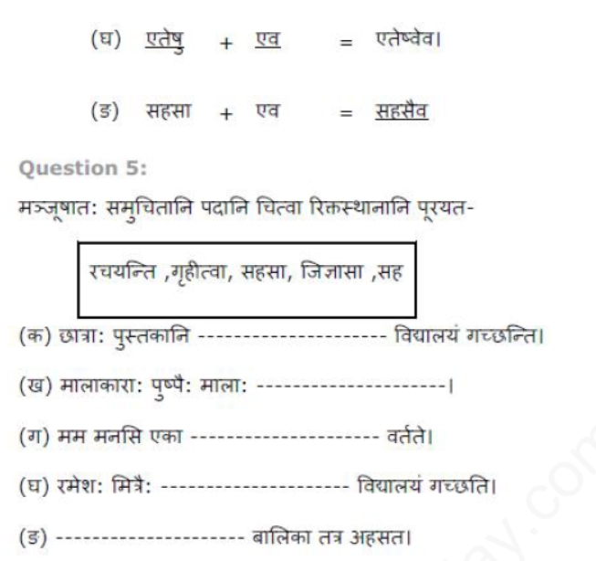 ncert-solutions-class-8-sanskrit-chapter-8-sansarsagarrsay-nayka