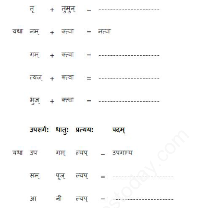 ncert-solutions-class-8-sanskrit-chapter-8-sansarsagarrsay-nayka