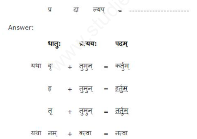 ncert-solutions-class-8-sanskrit-chapter-8-sansarsagarrsay-nayka