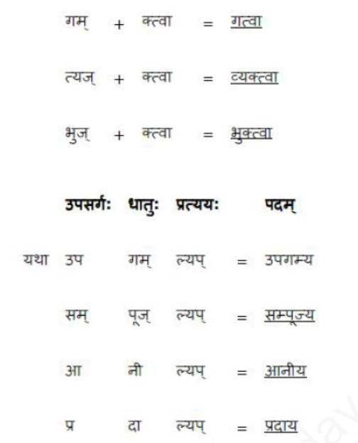 ncert-solutions-class-8-sanskrit-chapter-8-sansarsagarrsay-nayka