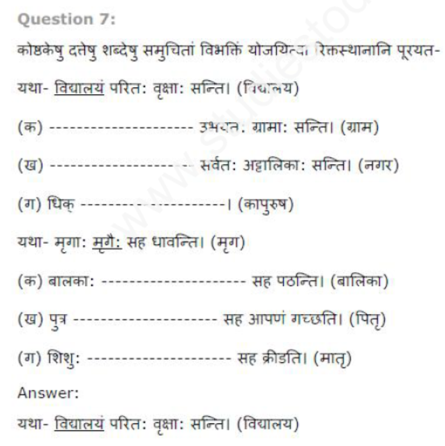 ncert-solutions-class-8-sanskrit-chapter-8-sansarsagarrsay-nayka