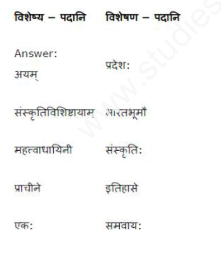 ncert-solutions-class-8-sanskrit-chapter-9-saptbhgeny