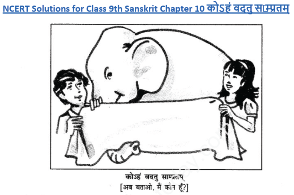 ncert-solutions-class-9-sanskrit-chapter-10-kohn-vadtu-saptrtam