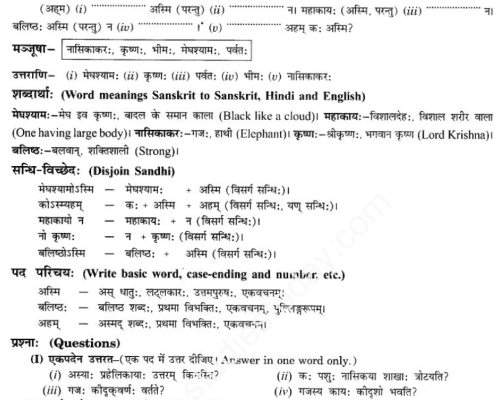 ncert-solutions-class-9-sanskrit-chapter-10-kohn-vadtu-saptrtam