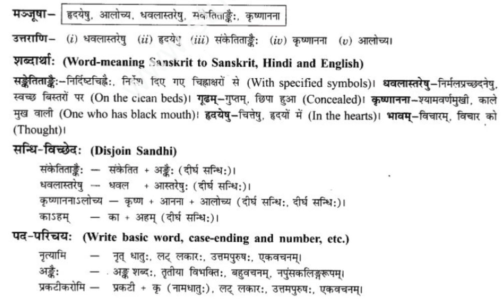 ncert-solutions-class-9-sanskrit-chapter-10-kohn-vadtu-saptrtam