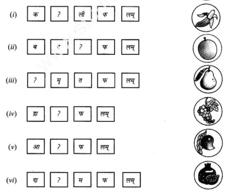 ncert-solutions-class-9-sanskrit-chapter-10-kohn-vadtu-saptrtam