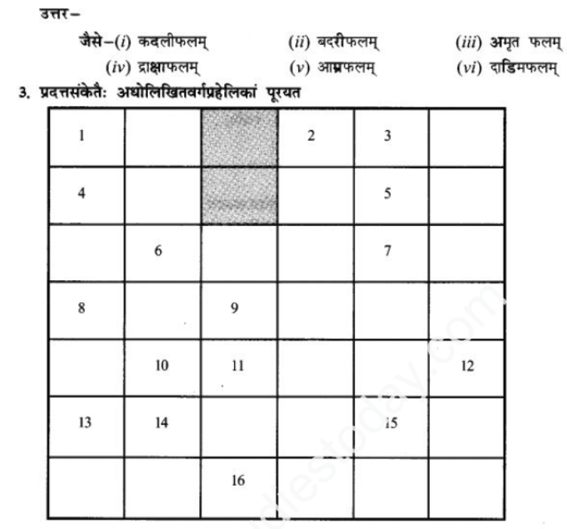 ncert-solutions-class-9-sanskrit-chapter-10-kohn-vadtu-saptrtam