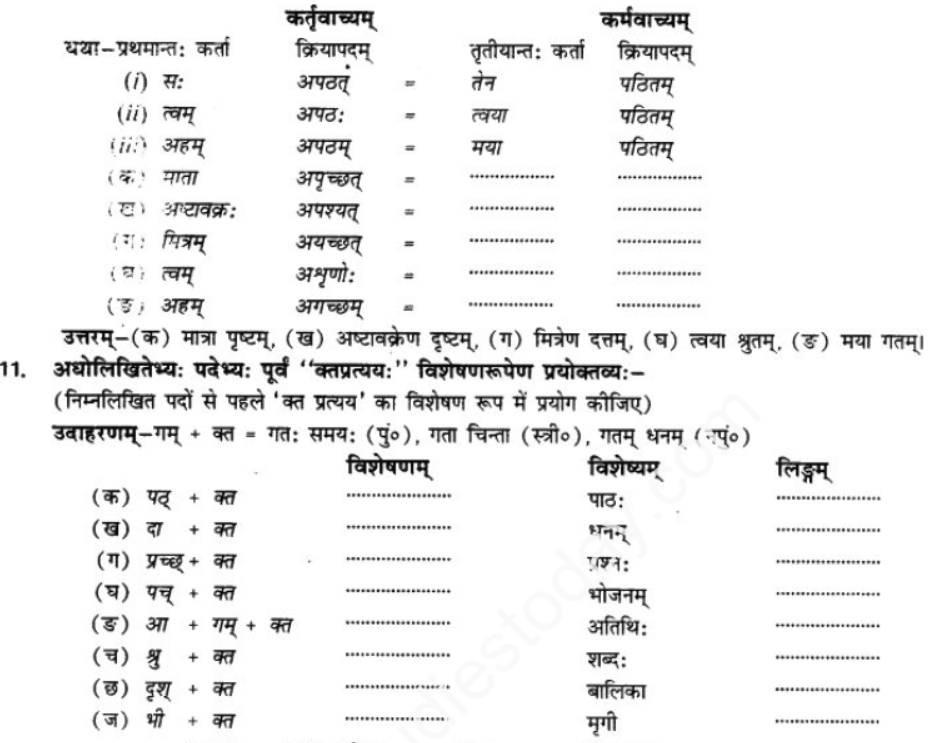 ncert-solutions-class-9-sanskrit-chapter-11-na-dharmvraddhushu-vy-smishyate