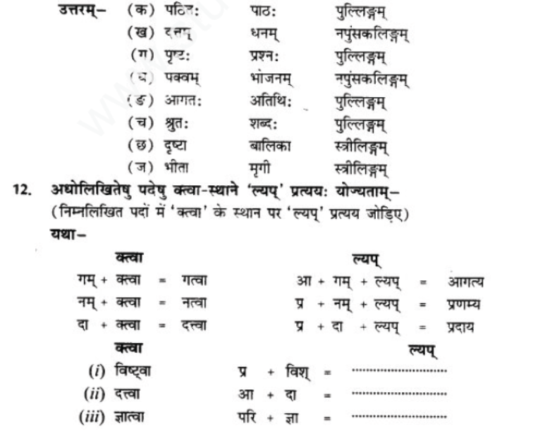 ncert-solutions-class-9-sanskrit-chapter-11-na-dharmvraddhushu-vy-smishyate