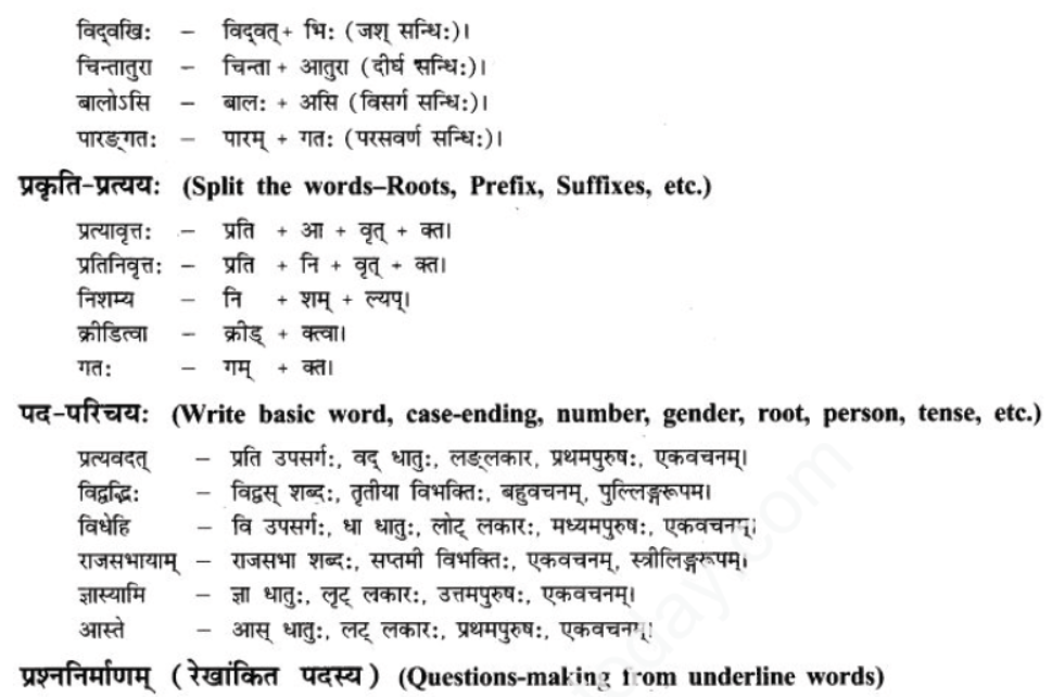 ncert-solutions-class-9-sanskrit-chapter-11-na-dharmvraddhushu-vy-smishyate