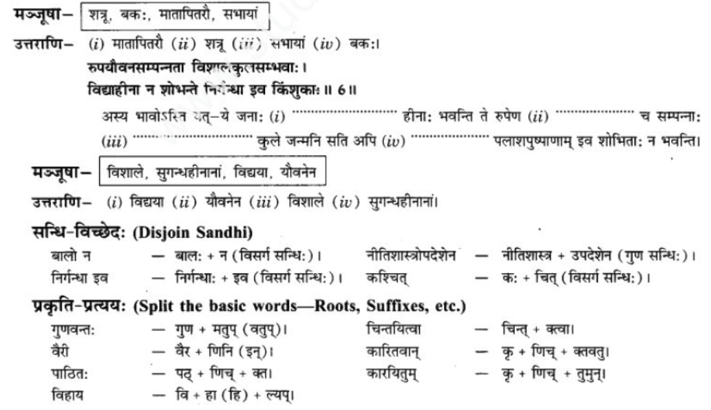 ncert-solutions-class-9-sanskrit-chapter-12-kavyami-kavyami-yami﻿