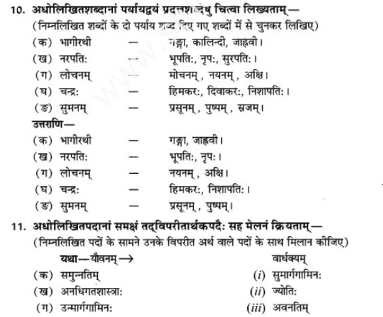 ncert-solutions-class-9-sanskrit-chapter-12-kavyami-kavyami-yami﻿