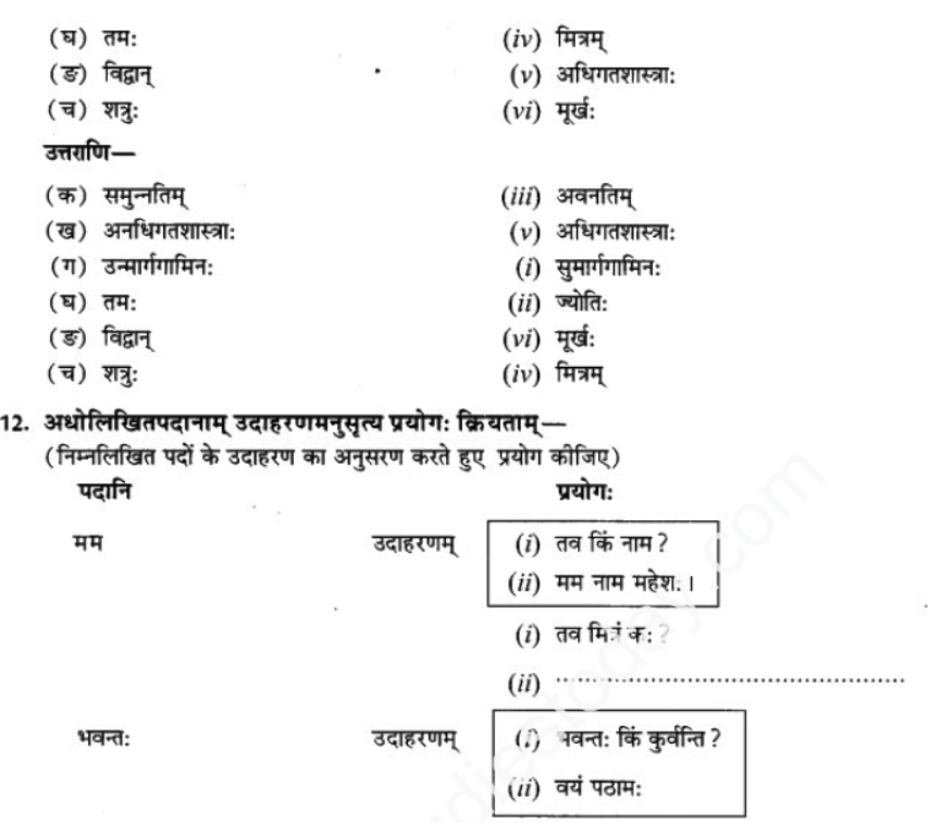 ncert-solutions-class-9-sanskrit-chapter-12-kavyami-kavyami-yami﻿