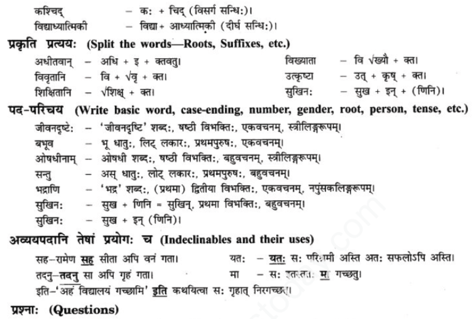 ncert-solutions-class-9-sanskrit-chapter-13-bhartiya-vigyanam