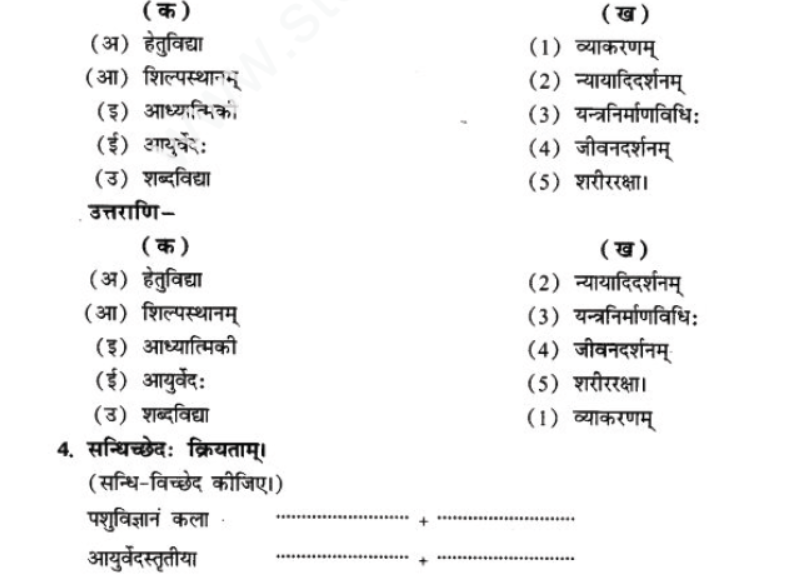 ncert-solutions-class-9-sanskrit-chapter-13-bhartiya-vigyanam