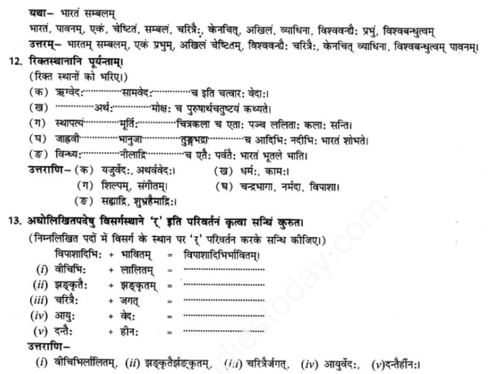 ncert-solutions-class-9-sanskrit-chapter-14-bhartenasit-me-jeevan-jeevanam