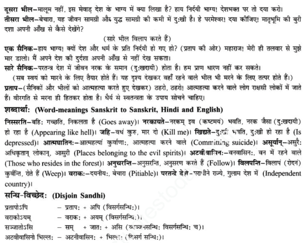 ncert-solutions-class-9-sanskrit-chapter-9-vijaytam-svadesh