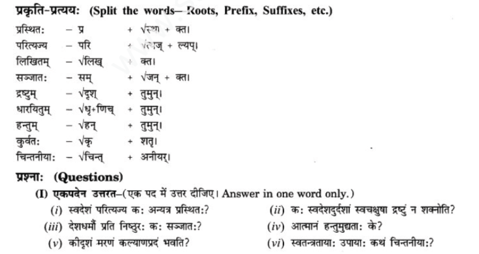 ncert-solutions-class-9-sanskrit-chapter-9-vijaytam-svadesh