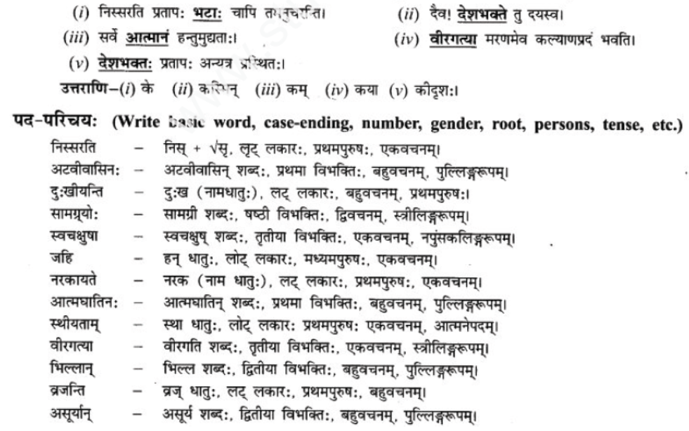 ncert-solutions-class-9-sanskrit-chapter-9-vijaytam-svadesh