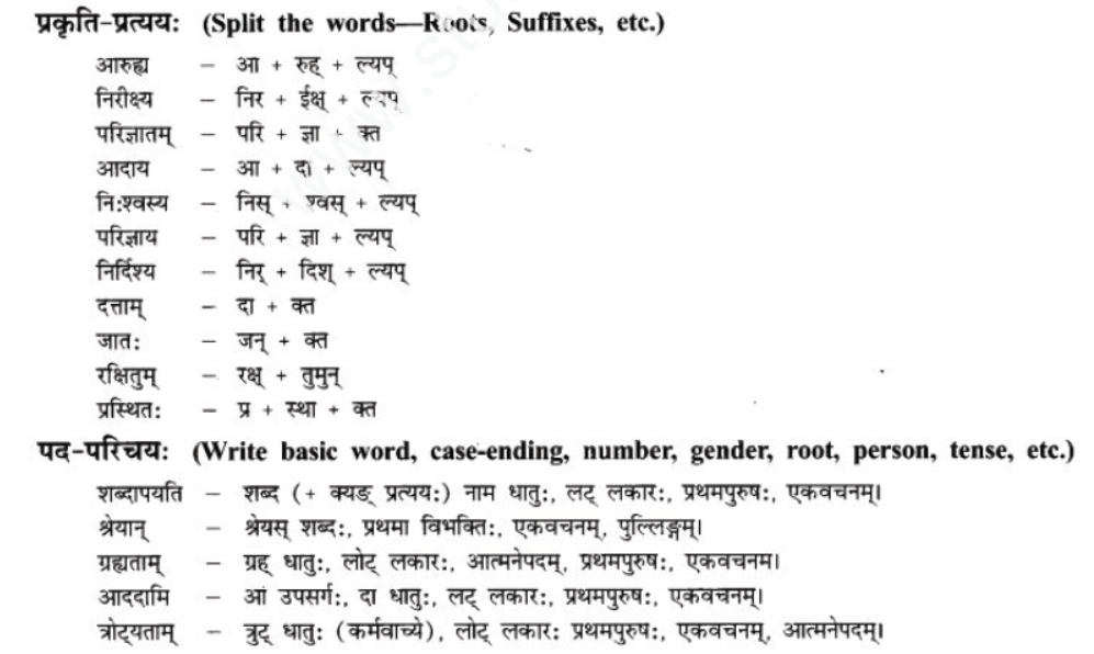 ncert-solutions-class-9-sanskrit-chapter-9-vijaytam-svadesh